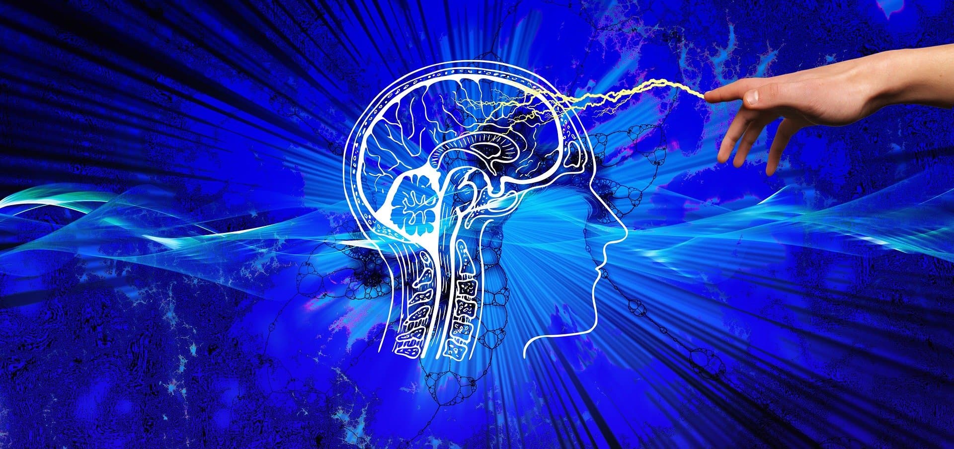 El impacto positivo de la programación en el cerebro humano. ¡Los estudios lo confirman!